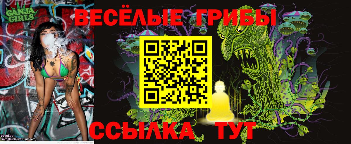 Тутаев  Галлюциногенные грибы MAGIC MUSHROOMS  Вход с VPN 
